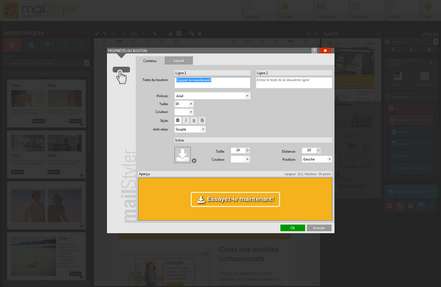 Mailstyler Newsletter Creator - Propriétés du bouton