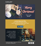 Newsletter Christmas 2020 Templates